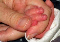 67109527_f967441f23_m-2.jpg
