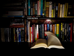 2099382786_0ccbb2499f_m-3.jpg