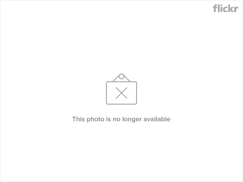 91637254_7025dc96c3_m-2.png
