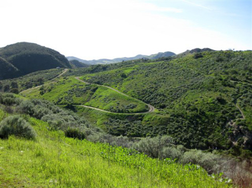 Wildwood-Conejo.jpg